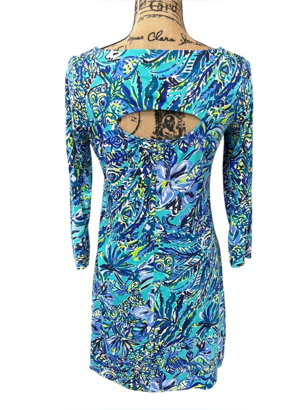 Lilly Pulitzer Hollee Dress Sneak A Break Floral Bennett Blue Cutout Size Small - Picture 9 of 10